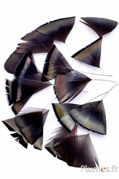 Pluimenblaadjes - 6-8 cm x 3-4 cm - natuur